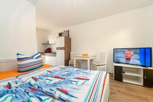 TV a/nebo společenská místnost v ubytování Appartementhaus mit Balkon im Ostseebad Göhren VM