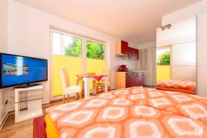 TV a/nebo společenská místnost v ubytování Appartementhaus mit Balkon im Ostseebad Göhren VM