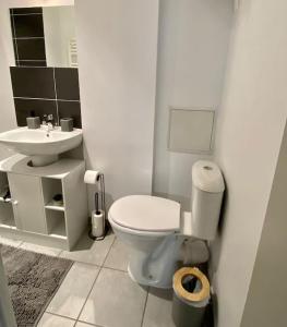 a bathroom with a toilet and a sink at Vaste Appartement Rénové - Centre Ville in Bourg-en-Bresse