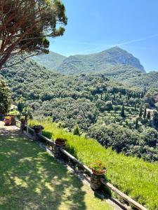 una vista de una colina con macetas. en Villa a Cala Piccola, en Monte Argentario