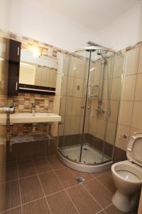 a bathroom with a shower and a toilet and a sink at Lefcothea Guest Rooms in Lákka