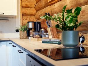a kitchen counter with a potted plant on it at Oiu sadama jõemaja in Oiu