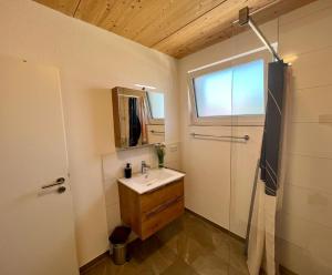 a bathroom with a sink and a shower at GrenzApartments in Bietingen