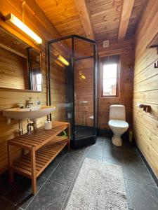 a bathroom with a shower and a toilet and a sink at Tradisjonell laftet hytte in Vradal +22 photos