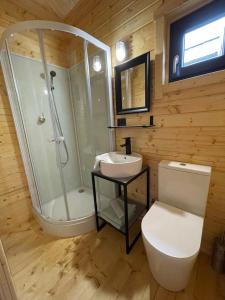 a bathroom with a shower and a toilet and a sink at Projekt Przełazy 1 in Przełazy