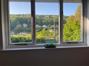 ein Fensterbrett mit einem Korb davor in der Unterkunft Seawinds in Ventnor