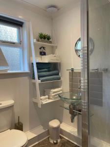 a bathroom with a toilet and a glass sink at Seawinds in Ventnor