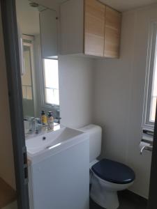 ein Badezimmer mit einem weißen Waschbecken und einem blauen WC in der Unterkunft Camping Pré Vologne in Granges-sur-Vologne