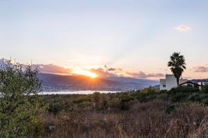 a sunset over the water with a palm tree at Jarko Luxury Houses in Argoulidhés