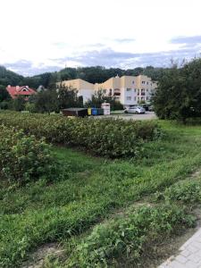 a field of grass with buildings in the background at Apartament Kwaskowa Góra in Kazimierz Dolny