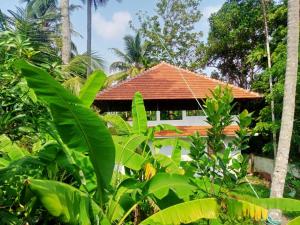 a house with a red roof in the jungle at Sinai Homestay in Alleppey