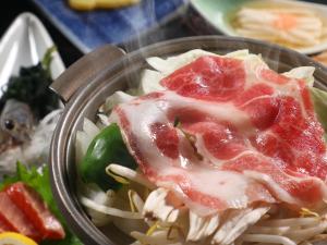 eine Schüssel Essen mit Fleisch auf Nudeln in der Unterkunft 丸山鉱泉旅館 