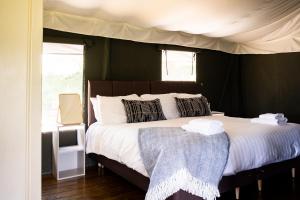 a bedroom with a bed with a canopy at Canvas & Campfires in Lampeter
