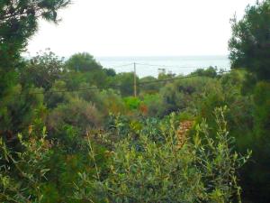 Gallery image of Edison Bungalow Duplex LEK in Peñíscola