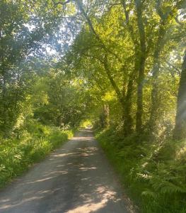 a dirt road with trees on either side at Corner Patch Retreat in Hoel-galed