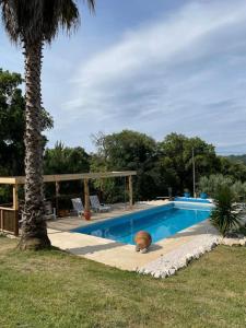 una piscina con una palmera en un patio en Quinta Inge, 
