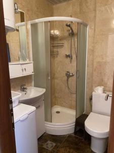 Koupelna v ubytování Apartment in Becici + 8 fotografií