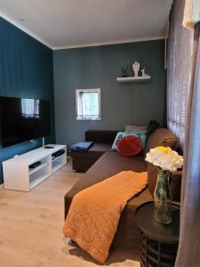 a living room with a couch and a tv at Friends & Family Apartment at Hafjell Alpinlandsby/Øyer Center in Hafjell