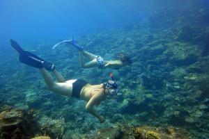 Hóspedes ficando em Cabanon du Pêcheur, Parc National des Calanques
