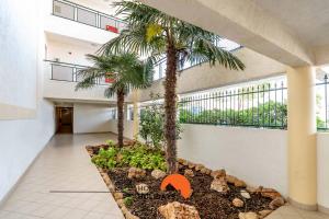 a hallway with two palm trees in a building at #166 Frat Apartment by Home Holidays in Albufeira