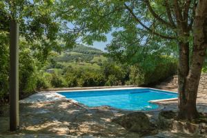 einen Pool in einem Garten mit einem Baum in der Unterkunft Secret Retreat by Fidalsa in Entrambasaguas