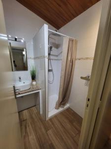Kúpeľňa v ubytovaní PORTICCIO villa dans résidence avec piscines 4-6 personnes BRILOC Appartements
