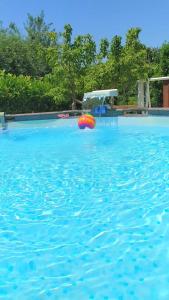 una piscina con una palla in acqua di Casa Dolce Puglia Casa Vacanza a Castellana Grotte