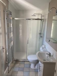 ein Bad mit einer Dusche, einem WC und einem Waschbecken in der Unterkunft Ballea Farmhouse in Cork