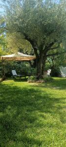 een bank onder een boom in een tuin bij Reginella al mare in Policastro Bussentino