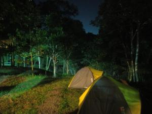 a tent sitting on the side of a field at Joben Ecolodge in Tetebatu