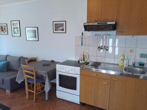 een keuken met een spoelbak en een fornuis bovenste oven bij Apartment Leo in Baška