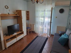 een woonkamer met een bank en een televisie bij Apartment Leo in Baška +3 foto's