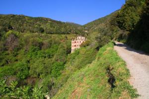 un bâtiment sur une colline à côté d'un chemin de terre dans l'établissement Kallista 1, à San-Giuliano 16 autres photos