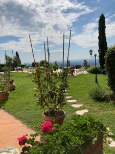 A garden outside Agriturismo Cima alla Serra