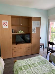 Μια τηλεόραση ή/και κέντρο ψυχαγωγίας στο Guest House Trajkovic Jagodina