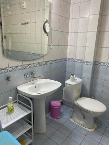 W łazience znajduje się umywalka, toaleta i lustro. w obiekcie Guest House Trajkovic w mieście Jagodina