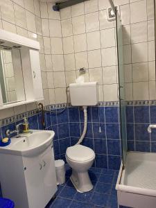 Ένα μπάνιο στο Guest House Trajkovic Jagodina