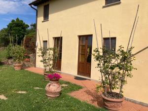 A garden outside Agriturismo Cima alla Serra