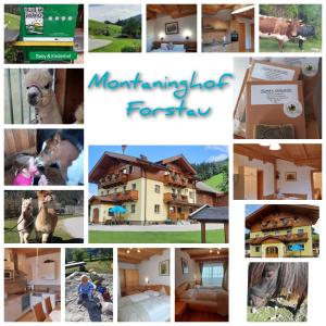 Fotografie z fotogalerie ubytování Baby- und Kinderbauernhof Montaning v destinaci Forstau