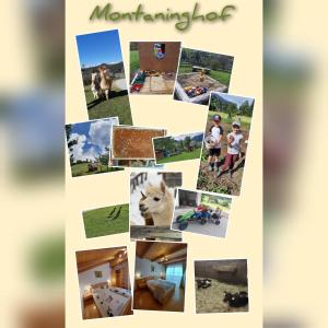 Fotografie z fotogalerie ubytování Baby- und Kinderbauernhof Montaning v destinaci Forstau