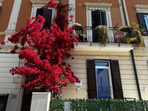 Ein Haufen roter Blumen auf der Seite eines Gebäudes in der Unterkunft Mariviva Guest House in Terracina