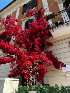 a bunch of red flowers on the side of a building at Mariviva Guest House in Terracina +20 photos