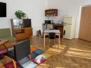 Kuchyň nebo kuchyňský kout v ubytování Vintage apartmán v centru