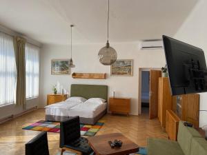 TV a/nebo společenská místnost v ubytování Vintage apartmán v centru