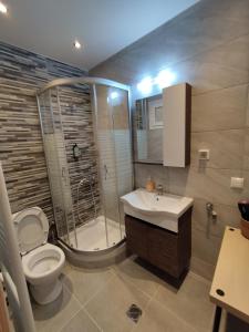 a bathroom with a toilet and a shower and a sink at Palaia premium flat in Volos