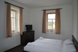 1 Schlafzimmer mit 2 Betten, einem TV und Fenstern in der Unterkunft Bison Ranch in Rožnov