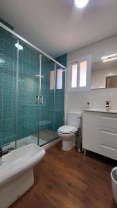 a bathroom with a toilet and a glass shower at TERRASOL AZUCARERA ATICO LUJO in Torre del Mar