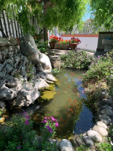 um lago de carpas num jardim com pedras e flores em B & B Villa Fiorella em Termoli