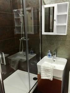 a bathroom with a shower and a sink and a toilet at Castle Quarter Apartment with Free on site Parking in Bedford