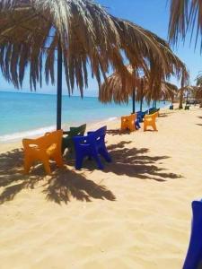 a row of chairs on a beach with an umbrella at قريه لاسرينا العين السخنة in Ain Sokhna